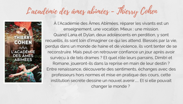 l-academie-des-ames-abimes-thierry-cohen